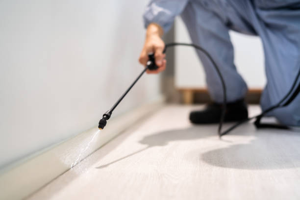 Licensed Termite Control service in Elizabeth City, NC - Nex Pest Control