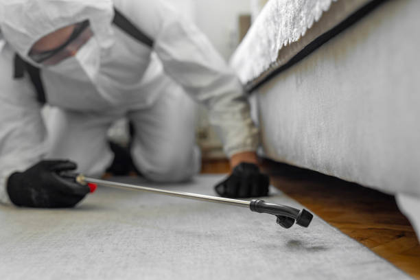 Professional Termite Control technician working in Elizabeth City, NC