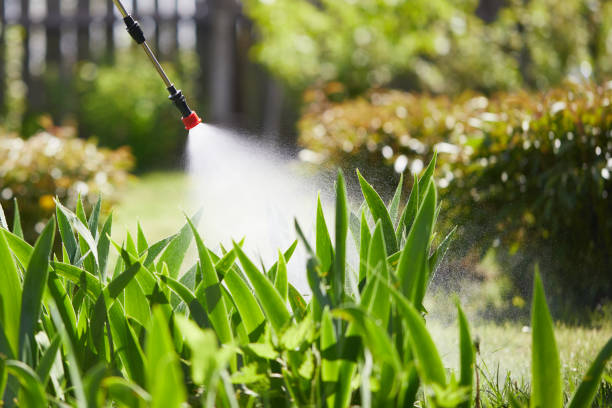 24/7 Emergency Termite Control experts in Elizabeth City, NC