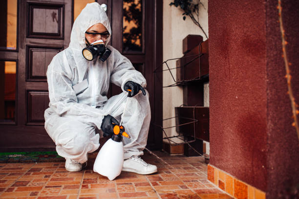 Reliable Termite Control contractor in Elizabeth City, NC by Nex Pest Control