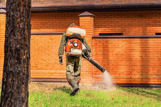 Trusted Termite Control service in Elizabeth City, NC - Nex Pest Control